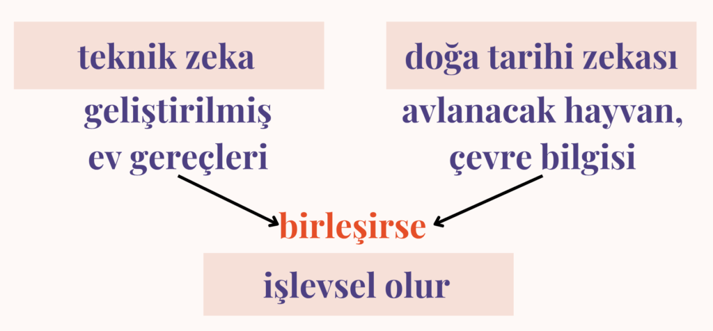 Steven Mithen, zihin modeli önermesinde, modüllerin birleşimiyle yeni becerilerin ortaya çıkışı. 