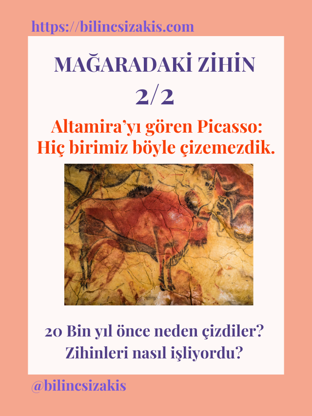 Mağaradaki Zihin 2/2. Yazı – Yirmi Bin Yıl Önce Nasıl Çizdiler?