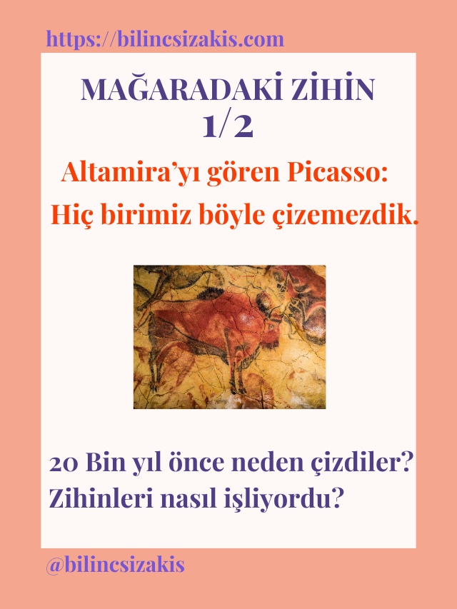 Mağaradaki Zihin 1/2. Yazı – Yirmi Bin Yıl Önce Nasıl Çizdiler?