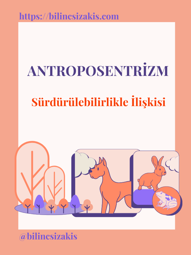 Antroposentrizm Nedir?